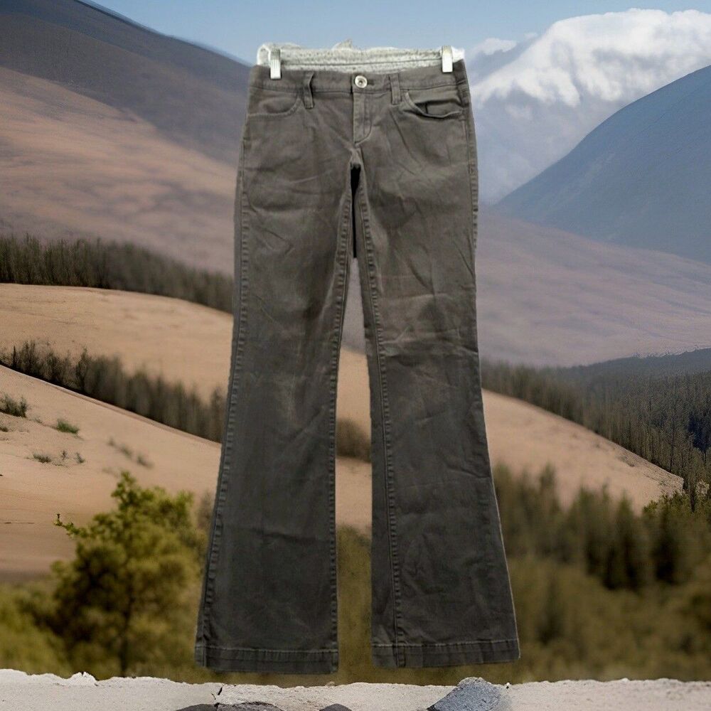 Banana Republic Gray Boot Cut Pants